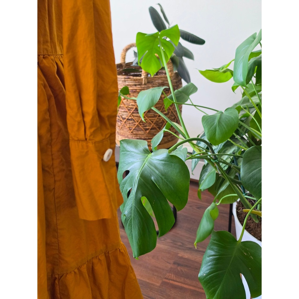 Laboratorio Capri Italy Ochre Cotton Tiered Maxi Shirt Dress Womens 38 / Small - Picture 5 of 11